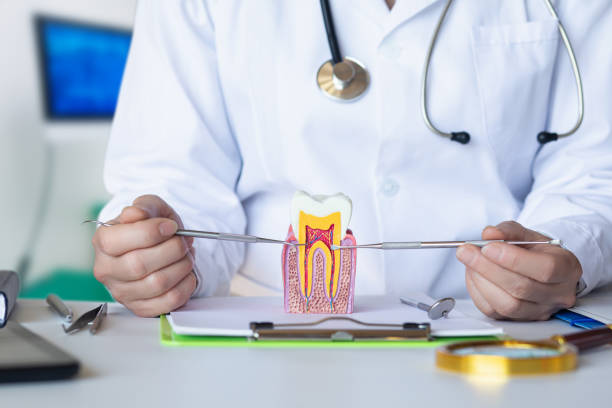 Best Emergency TMJ Treatment in Albany, CA